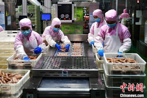 經(jīng)濟(jì)觀察 拼開(kāi)放 福建深度融入共建 一帶一路