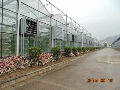 福州福建水稻工廠化機插育秧溫室:想建福建水稻工廠化機插育秧溫室就到黑土農(nóng)科,廈門市黑土農(nóng)業(yè)科技產(chǎn)品展示-中華嬰童網(wǎng),中國孕嬰童行業(yè)電子商務首選平臺