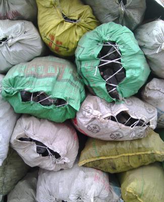 【福州木炭工業木炭 燒烤木炭 山西炭 銅廠用炭 炭包陜西西安工】價格_廠家_圖片 -