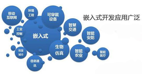 物聯(lián)網(wǎng)嵌入式開發(fā) 驅(qū)動未來智能化的計算機軟硬件技術(shù)核心
